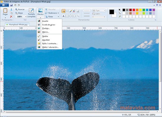 PicPick 5.1.5 Professional + Version Crack Free Download