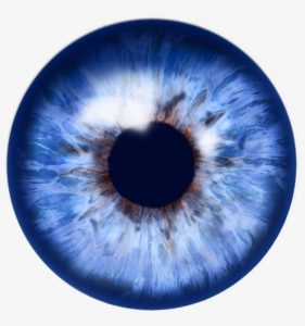 Blue Iris 5.3.7.5 2021 Full Version Crack Free Download