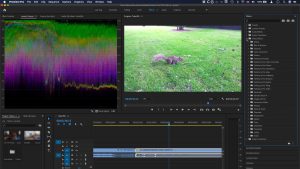 Adobe Premiere Pro Crack 2021 Professional video editor & video maker Download Free