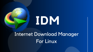 IDM Crack 6.39 Build 2 Retail + Patch &amp; Serial Key [ Latest 2021]