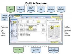EndNote v9.3.3 Build 15043 Full Crack Version Free Download