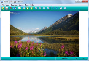 Salview 7.1.0.5 Crack with Patch Keygen Free Download 2022